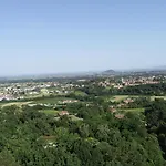 Le Mimose