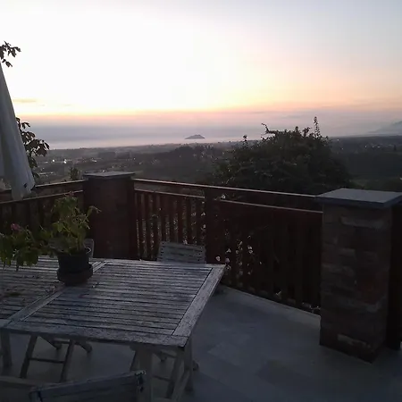 Le Mimose Bricherasio