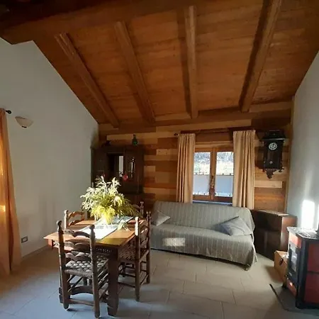 Le Mimose Bricherasio