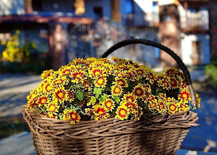 Le Mimose Отель типа 